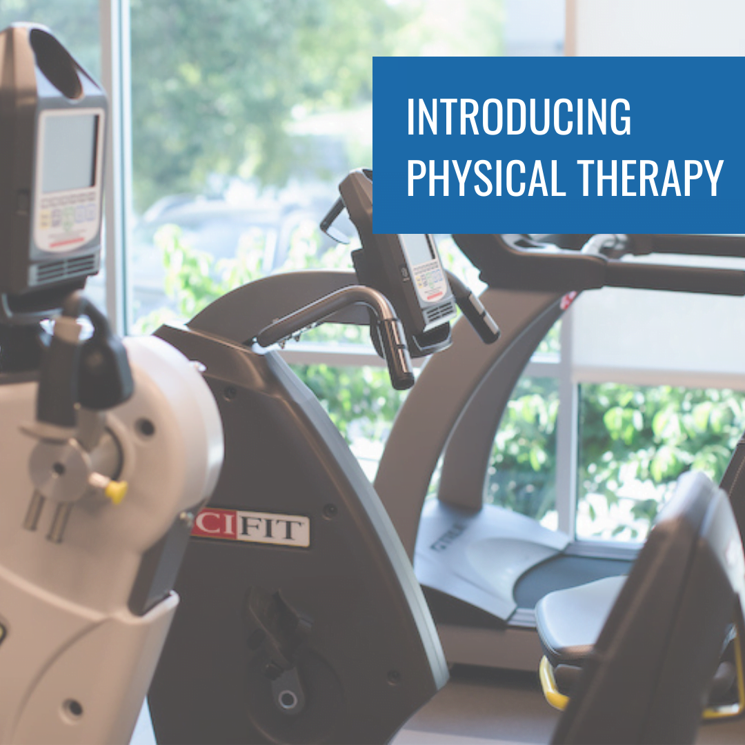 introducing sano physical therapy